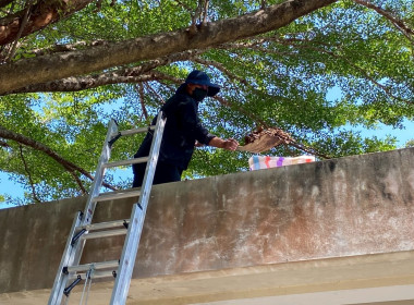 Big Cleaning Day ครั้งที่ 2 โครงการสมดุลชีวิตคนทำงาน พารามิเตอร์รูปภาพ 11